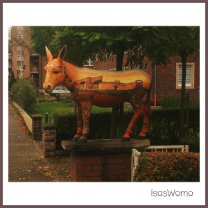 Esel in Wesel