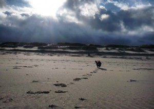 Milla am Strand